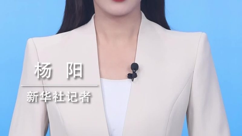云原生微服务架构：构建灵活高效的企业级应用**